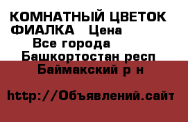 КОМНАТНЫЙ ЦВЕТОК -ФИАЛКА › Цена ­ 1 500 - Все города  »    . Башкортостан респ.,Баймакский р-н